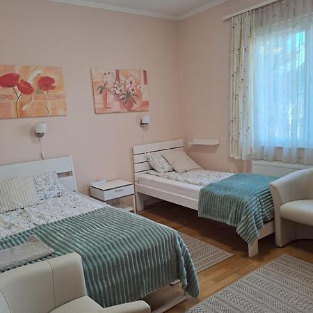 Lena Apartment - Lena Two Bedroom Apartment Vecses Ngoại thất bức ảnh